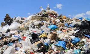 Владимир Путин пообещал решить проблему с утилизацией мусора