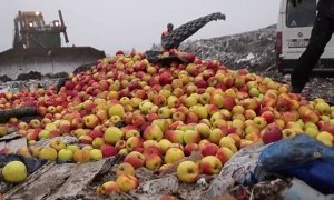 Россельхознадзор отчитался об уничтожении 26 тысяч тонн санкционных продуктов