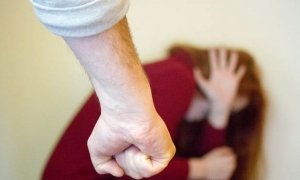 Совет Федерации поддержал идею создания приютов для жертв домашнего насилия