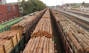 Глава Минприроды заявил о возможной приостановке экспорта российского леса