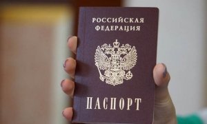 В правительстве предложили создать мобильное приложение с паспортными данными граждан