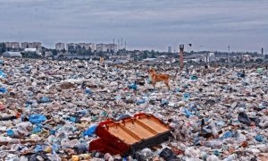 Создание госкомпании по решению мусорных вопросов обойдется бюджету в 75 млрд рублей