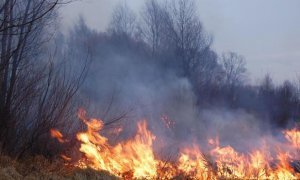В Забайкальском крае лесные пожары уничтожили более 70 жилых домов