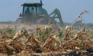 В Тульской области объявлен режим ЧС из-за гибели урожая