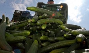 Крымские власти вернули назад в Украину около 700 тонн фруктов и овощей