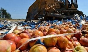 В Россию стали реже ввозить санкционную еду из-за приказа ее уничтожать  