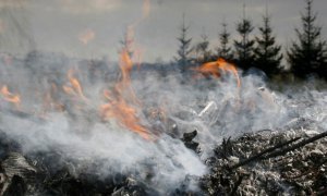 Украину накрыло облако угарного газа неизвестного происхождения