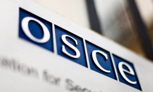 ОБСЕ создаст комиссию по изучению фактов нарушения прав человека в Чечне  