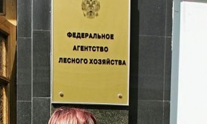 Правоохранители завершили расследование дела о хищении средств в Департаменте лесного хозяйства по ЦФО