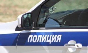 В Псковской области школьники открыли огонь по полицейским, а затем застрелились