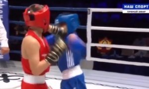 Телеканал «Матч ТВ» показал боксерские поединки с участием сыновей Рамзана Кадырова