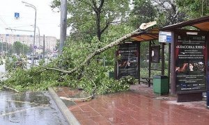 В Москве в результате сильного урагана погибли шесть человек