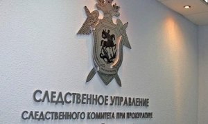 После убийства 6 детей против главы райуправления образования Нижнего Новгорода возбуждено дело