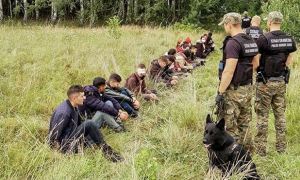 Польша вслед за Литвой построит «забор против мигрантов» на границе с Белоруссией