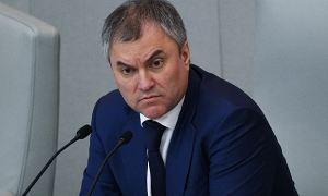 Вячеслав Володин призвал ввести ответственность за призывы к санкциям против россиян