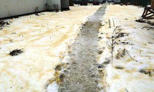 В Сегеже после жалоб граждан на желтый снег и падеж птиц зафиксировали выброс ядовитых веществ