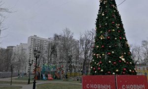 Россиян предупредили об ухудшении здоровья из-за аномально теплой зимы