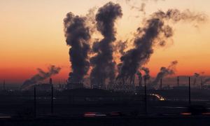 В России зафиксировали рекордное количество случаев загрязнения воздуха