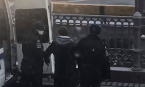 Задержанного за выгул собаки жителя Москвы оштрафовали на тысячу рублей