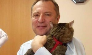 Депутат свердловского Законодательного Собрания принес на заседание кота