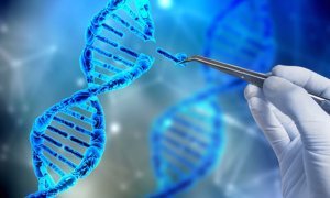 Российские ученые смогли исправить мутацию в генах, вызывающую муковисцидоз