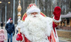 Глава Вологодской области сообщил о вакцинации Деда Мороза