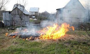 Россиян будут лишать земельных участков из-за нарушения пожарных требований