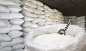 Правительство временно запретило экспорт из России сахара, пшеницы и кукурузы
