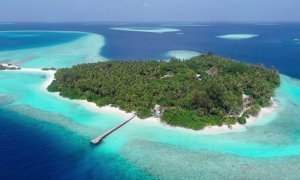 На карантин как на курорт 