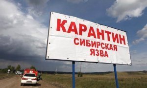 В Дагестане несколько человек заразились сибирской язвой