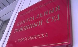 В Новосибирске суд отправил в СИЗО мать троих детей за участие в протестной акции