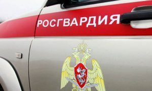 Два заместителя главы Росгвардии написали рапорты об уходе в отставку