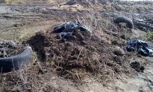 Россельхознадзор выявил очередные нарушения природоохранного законодательства в АПК Белгородской области