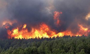 В пострадавшей от наводнения Иркутской области ввели режим ЧС из-за лесных пожаров 