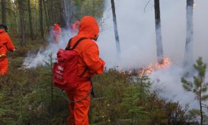 Вице-премьер Юрий Трутнев обвинил СМИ в драматизировании ситуации с лесными пожарами