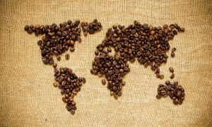 Мировые цены на кофе могут резко вырасти на фоне неурожая в Бразилии