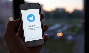 Роскомнадзор внес Telegram и «ЖЖ» в реестр социальных сетей