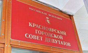 Красноярского депутата попросили лишить родительских прав из-за «бедной» декларации о доходах
