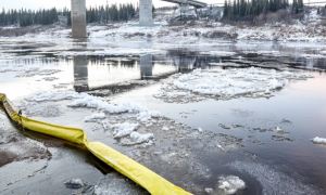 Концентрация нефти в реке Колва после аварии на трубопроводе «Лукойл-Коми» превысила норму в 500 раз