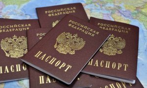 В Германии возмутились выдачей шенгенских виз жителям ДНР по российским паспортам