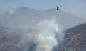 Власти Кубани обвинили в возникновении лесных пожаров безответственных туристов