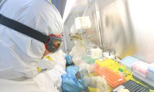 США и еще 13 стран раскритиковали доклад ВОЗ о причинах происхождения коронавируса
