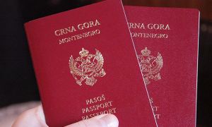 Власти Черногории раскрыли имена известных россиян, получивших гражданство страны