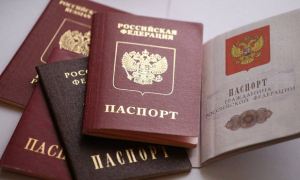 Президент внес в Госдуму законопроект об упрощенном присвоении и лишении гражданства России
