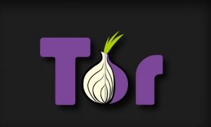 Tor попал под «топор». Роскомнадзора