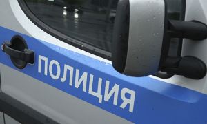 В Омске 15-летнюю девочку заподозрили в организации взрыва в школе