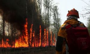 В Якутии в уголовном деле о масштабных лесных пожарах появился первый обвиняемый