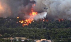 Владимир Путин на фоне горящих лесов Якутии направил пожарную авиацию в Грецию