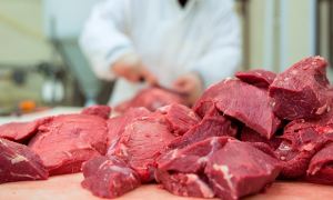 Российские власти не исключили введения налога на мясо