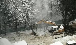 В Новой Москве возобновилась вырубка краснокнижного леса ради строительства школы